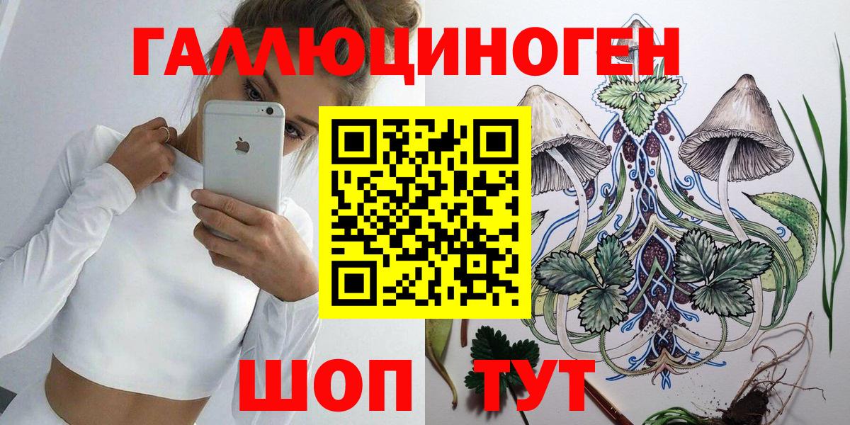 Псилоцибиновые грибы мицелий Урюпинск