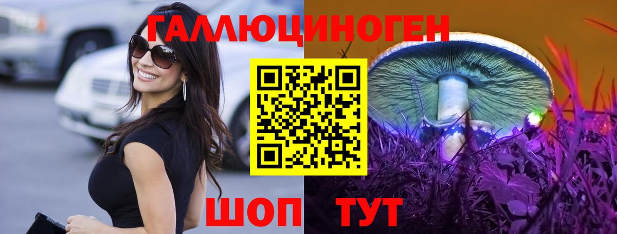 где найти   Псилоцибиновые грибы GOLDEN TEACHER  Вход с VPN  Урюпинск 